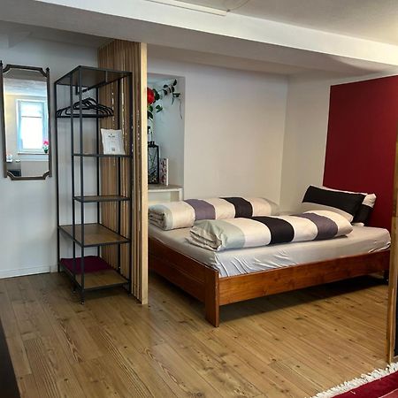Homestay Waldshut-Tiengen Kültér fotó