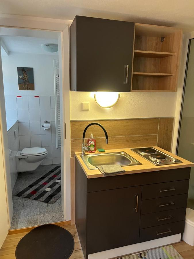 Homestay Waldshut-Tiengen Kültér fotó