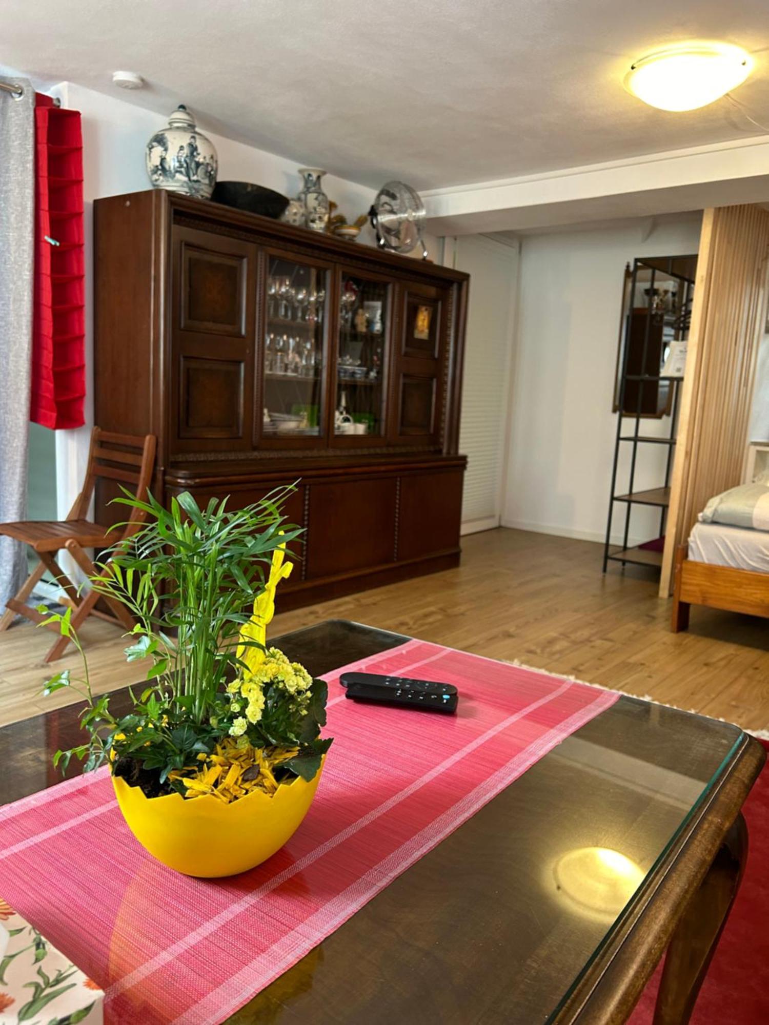 Homestay Waldshut-Tiengen Kültér fotó